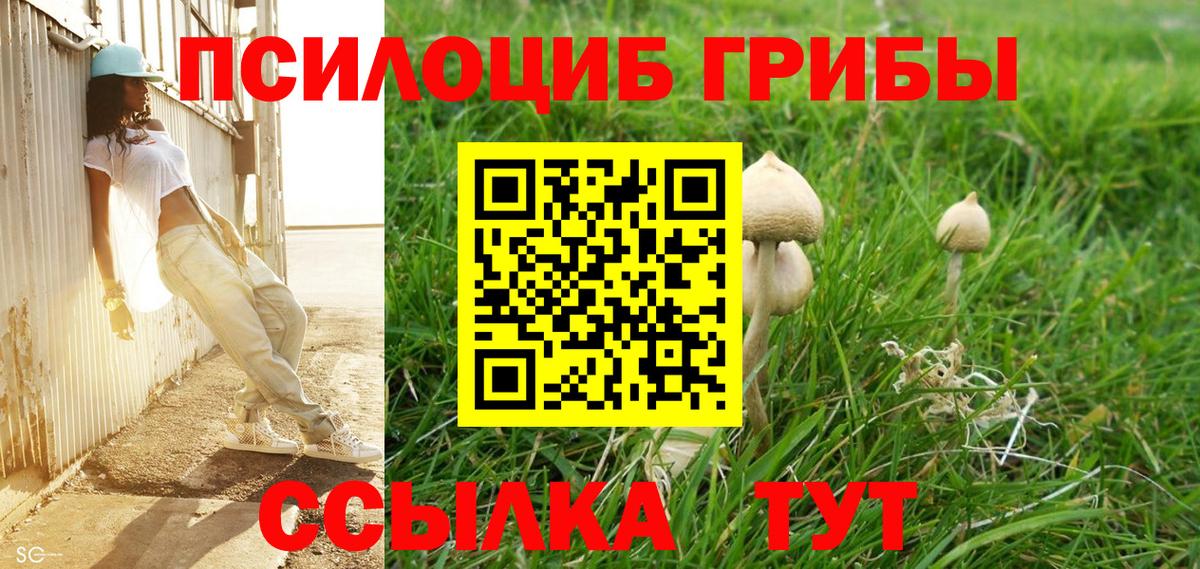 Владивосток  даркнет сайт  Вход с VPN  Галлюциногенные грибы ЛСД 